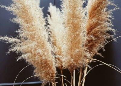 Room Water Quinta de Raj