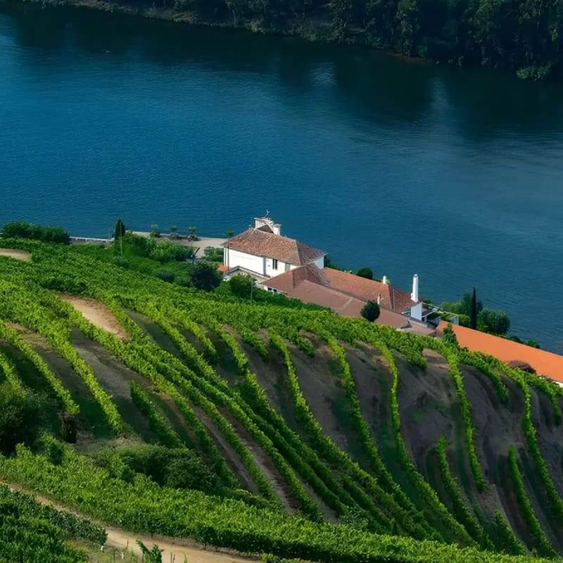 Quinta das Carvalhas