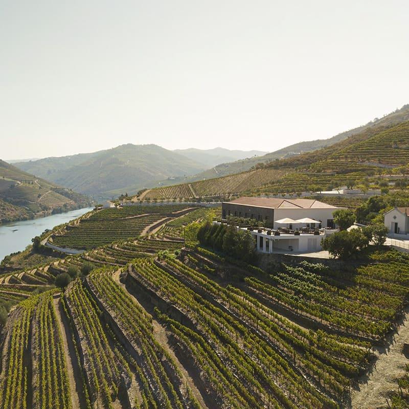 Quinta de São Luiz